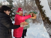 Девять школьных лесничеств приняли участие в экологической акции «Покормите птиц»