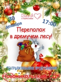 Новоникольский СДК приглашает на праздничные программы