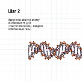 1 декабря – Всемирный день борьбы со СПИДом
